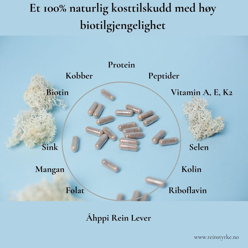 Áhppi Rein Lever 120 kaps