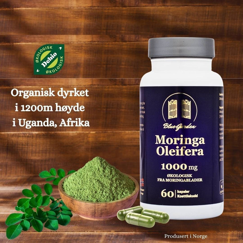 Moringa Oleifera 1000 mg
