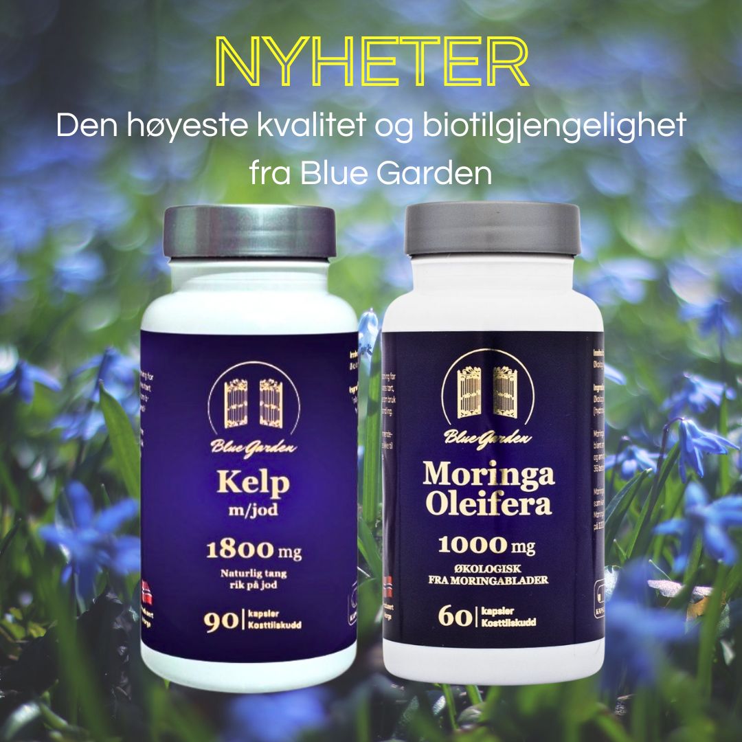 Flasker med Blue Garden Kelp m/jod (90 kapsler) og Moringa Oleifera 1000 mg (60 kapsler) plassert i blomstrende bakgrunn.